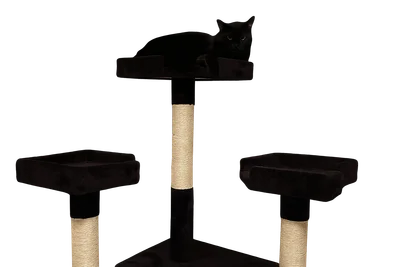 Kyra the black cat resting regally on top of a multi-level cat tower with sisal-wrapped posts