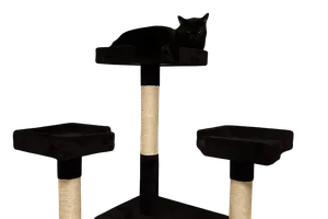 Kyra the black cat resting regally on top of a multi-level cat tower with sisal-wrapped posts
