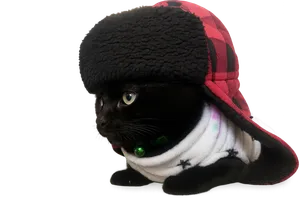 Kyra the black cat looking up curiously with transparent background