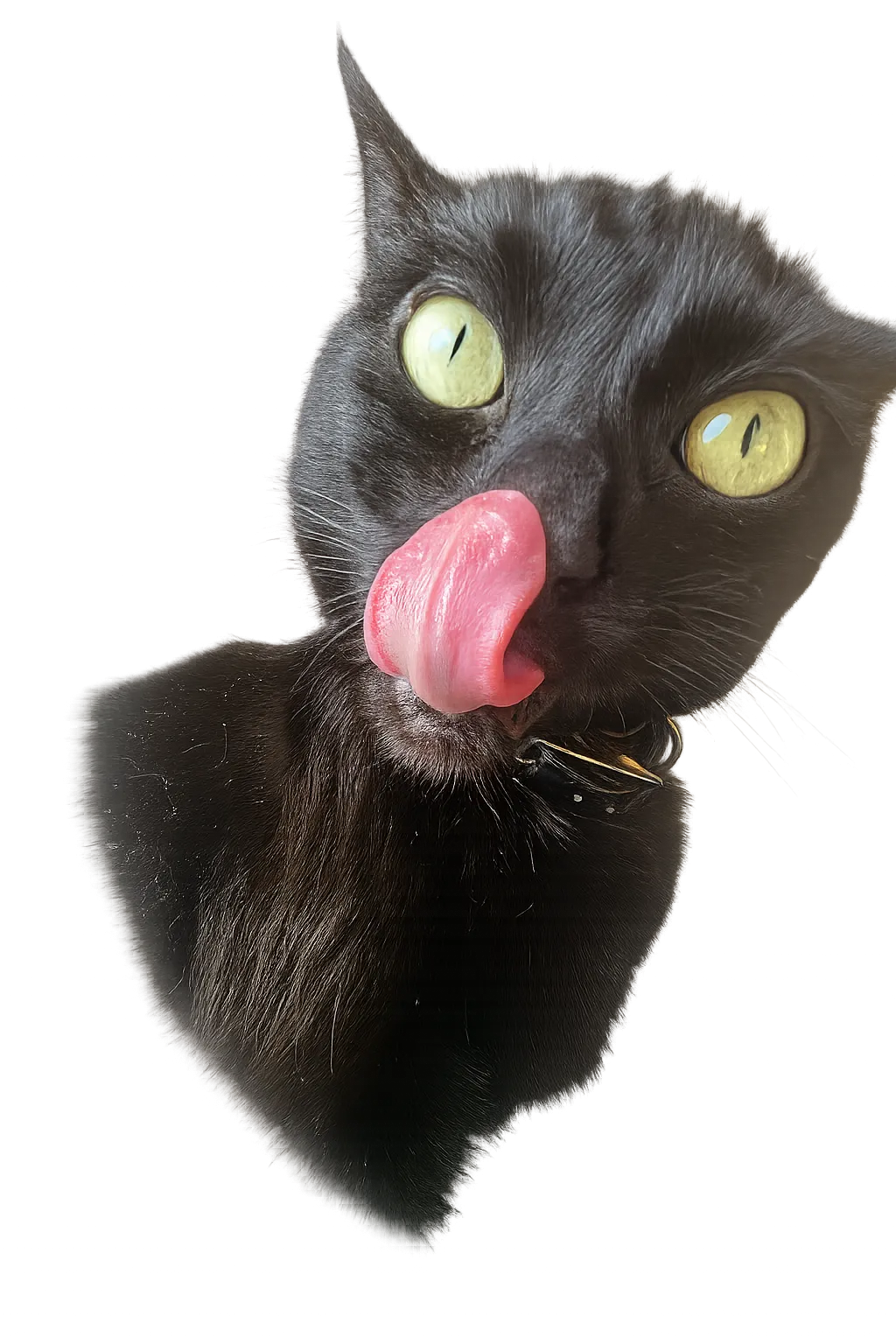 Kyra napping during debug session